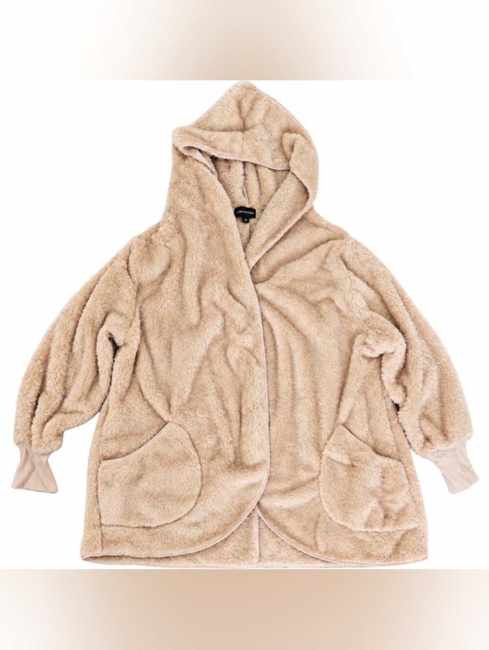 Plush Hooded Teddy Coat - Beige